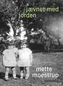 Jævnet med jorden (e-bog) af Mette Mo