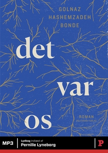 Det var os (lydbog) af Golnaz Hashemz