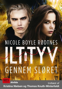 Ilttyv 3: Gennem sløret (lydbog) af N