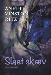 Slået skæv (e-bog) af Anette Vinston