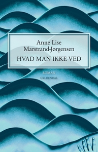 Hvad man ikke ved (e-bog) af Anne Lis