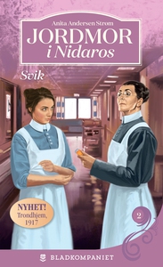Svik (ebok) av Anita Andersen Strøm