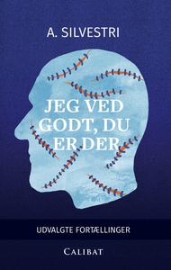 Jeg ved godt, du er der (e-bog) af A.