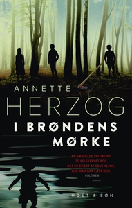 I brøndens mørke (e-bog) af Annette H