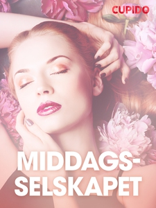 Middagsselskapet – erotiske noveller (NO) (eb