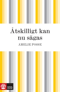 Åtskilligt kan nu sägas (e-bok) av Amelie Posse