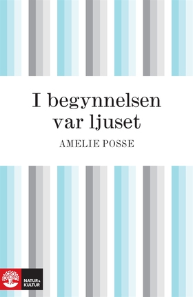 I begynnelsen var ljuset (e-bok) av Amelie Poss
