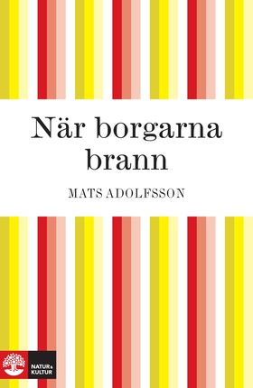 När borgarna brann (e-bok) av Mats Adolfsson
