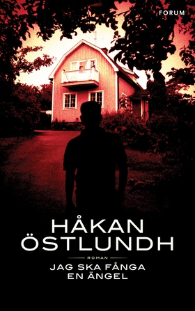 Jag ska fånga en ängel (e-bok) av Håkan Östlund