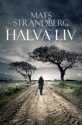 Halva liv (e-bok) av Mats Strandberg