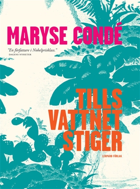 Tills vattnet stiger (e-bok) av Maryse Condé