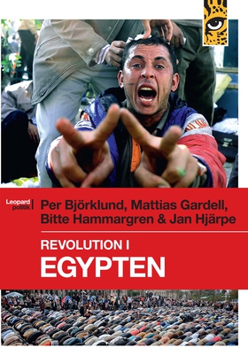 Revolution i Egypten (e-bok) av Mattias Gardell