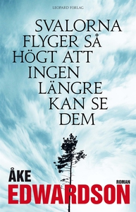 Svalorna flyger så högt att ingen längre kan se