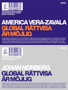 Global rättvisa är möjlig (e-bok) av America Ve