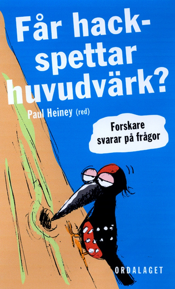 Får hackspettar huvudvärk?