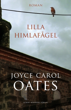 Lilla himlafågel (e-bok) av Joyce Carol Oates, 