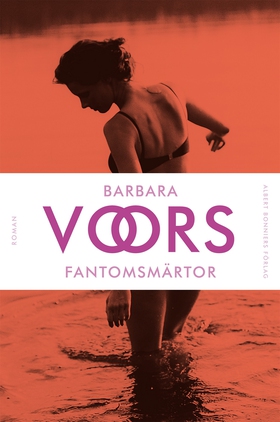 Fantomsmärtor (e-bok) av Barbara Voors