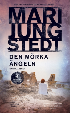 Den mörka ängeln (e-bok) av Mari Jungstedt