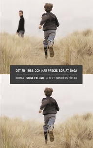 Det är 1988 och har precis börjat snöa (e-bok)