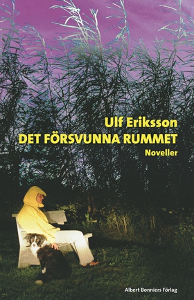 Det försvunna rummet (e-bok) av Ulf Eriksson