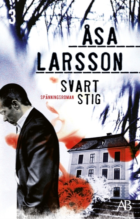 Svart stig (e-bok) av Åsa Larsson
