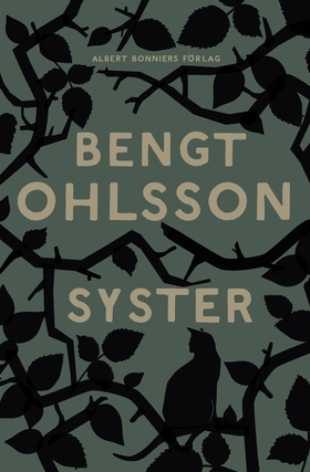 Syster (e-bok) av Bengt Ohlsson