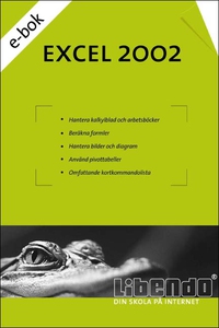 Excel 2002 (e-bok) av Libendo Education