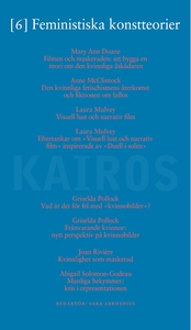 Feministiska konstteorier (e-bok) av Skriftseri