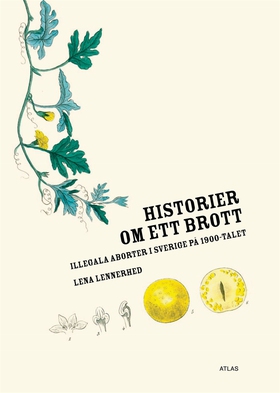 Historier om ett brott (e-bok) av Lena Lennerhe