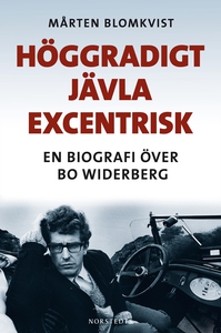 Höggradigt jävla excentrisk (e-bok) av Mårten B