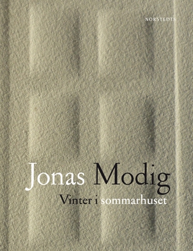 Vinter i sommarhuset (e-bok) av Jonas Modig