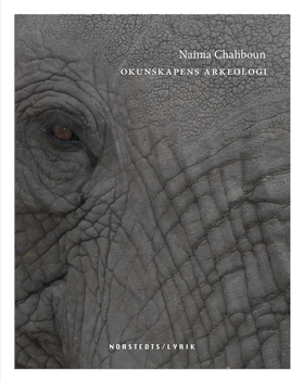 Okunskapens arkeologi (e-bok) av Naima Chahboun