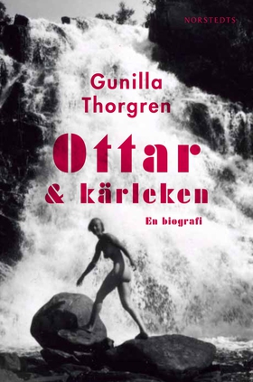 Ottar och kärleken (e-bok) av Gunilla Thorgren
