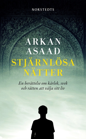Stjärnlösa nätter (e-bok) av Arkan Asaad