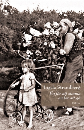 En för att stanna, en för att gå (e-bok) av Ing