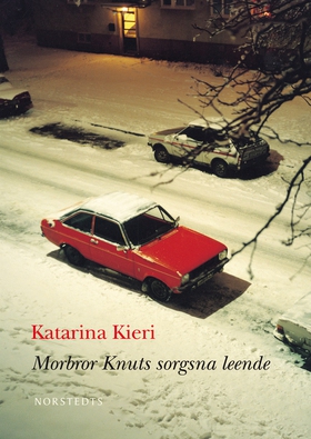 Morbror Knuts sorgsna leende (e-bok) av Katarin