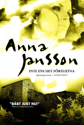 Inte ens det förflutna (e-bok) av Anna Jansson