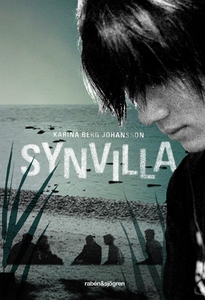 Synvilla (e-bok) av Karina Berg Johansson