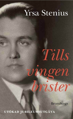 Tills vingen brister (e-bok) av Yrsa Stenius