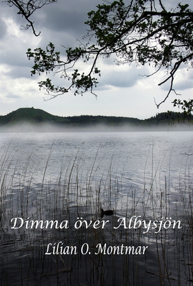 Dimma över Albysjön (e-bok) av Lilian O. Montma