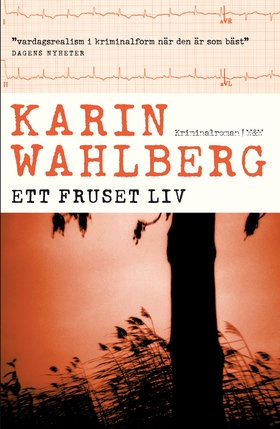 Ett fruset liv (e-bok) av Karin Wahlberg