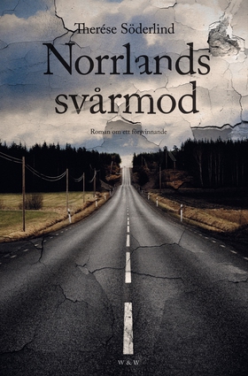 Norrlands svårmod : Roman om ett försvinnande (