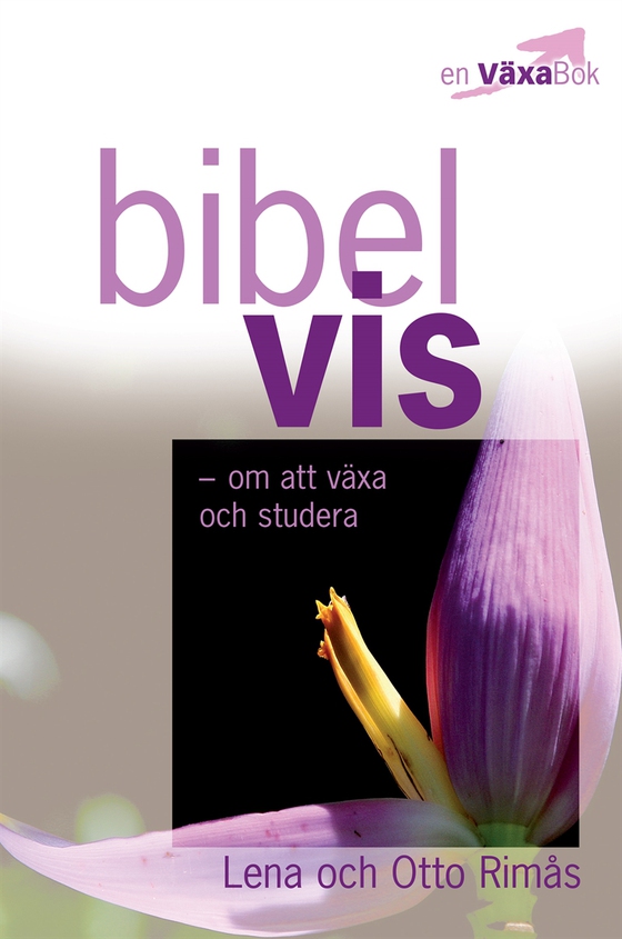 Bibelvis - om att växa och studera