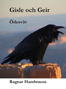 Gisle och Geir, Ödesväv (e-bok) av Ragnar Hambr