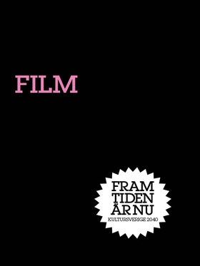 Film (e-bok) av Hynek Pallas