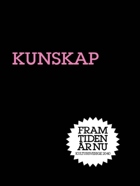 Kunskap : Dumma du? (e-bok) av Nicklas Lundblad