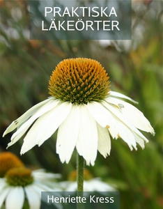 Praktiska läkeörter (e-bok) av Henriette Kress