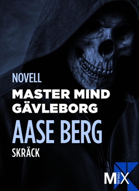 Master Mind Gävleborg (e-bok) av Aase Berg