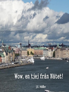 Wow, en tjej från Nätet! (e-bok) av J.E. Möller