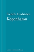 Köpenhamn: En novell ur När börjar det riktiga livet?